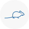 Mice Exterminators In Hornchurch